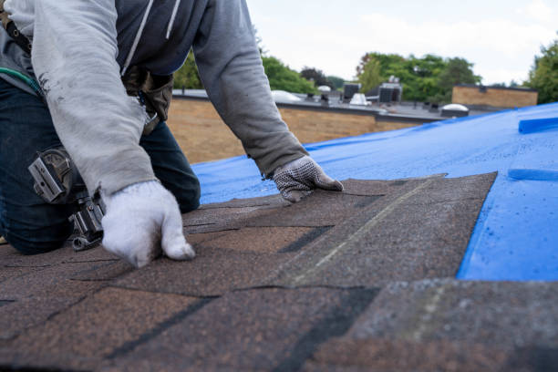 Best Flat Roof Repair Services  in South Roxana, IL