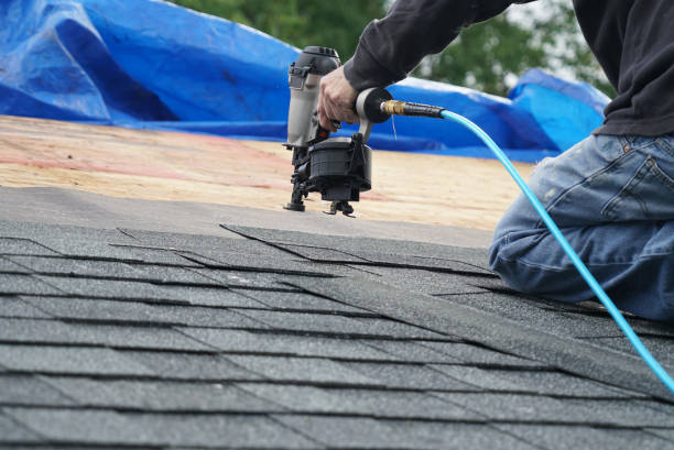 Best Storm Damage Roof Repair  in South Roxana, IL