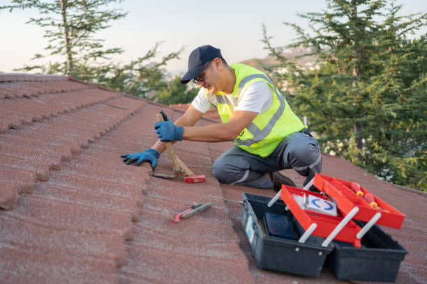 Best Metal Roofing Contractor  in South Roxana, IL