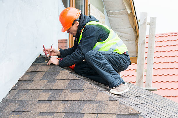 Best Roof Gutter Cleaning  in South Roxana, IL